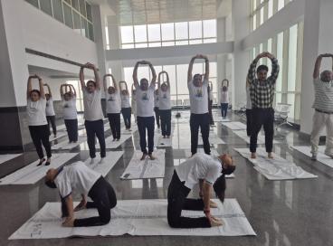 Yoga Day Celebrations